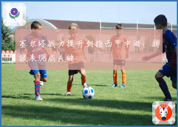 塞尔塔战力提升剑指西甲中游，新援表现成关键